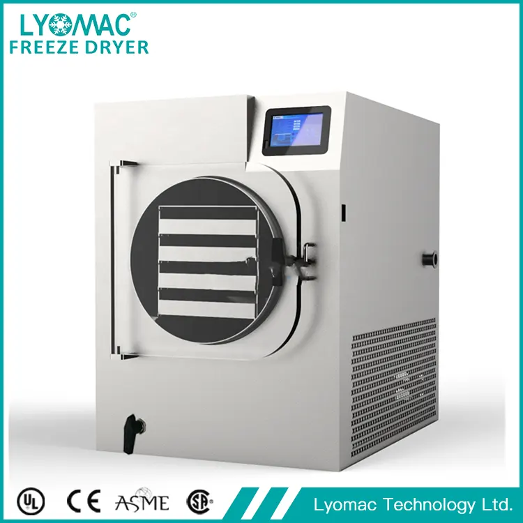 The Unsung Hero of Freeze Drying: Lyomac's Precision Condenser Technology
